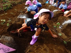 s-DSC00625