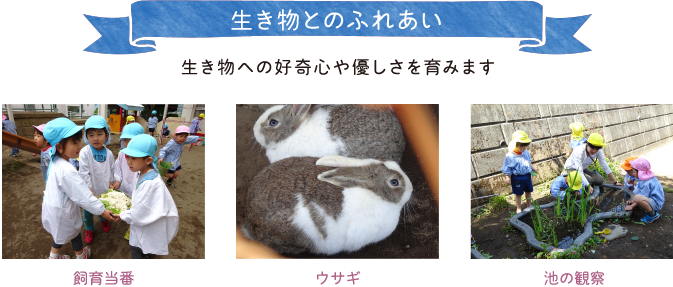 生き物とのふれあい